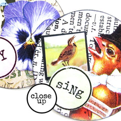 Art Wings Story Word Circle Rubber Stamp