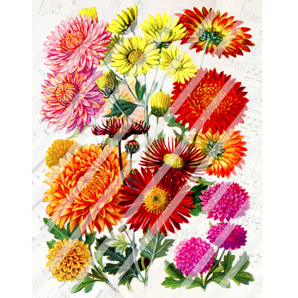 Antique Style 8-1/2" x 11" Autumn Bouquet Paper Print