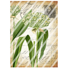 Antique Style 49 La Chaux Paper Print