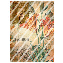 Antique Style 906 Lily Paper Print