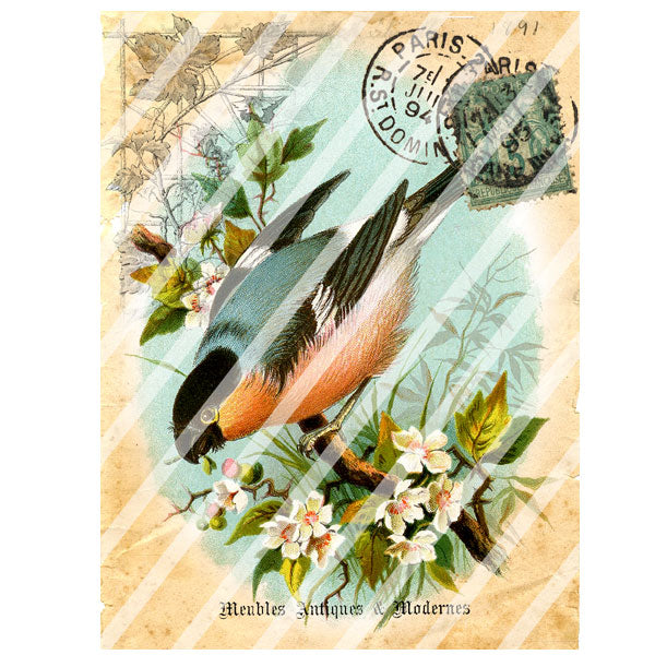 Antique Style 1891 Paris Paper Print