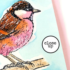 Follow Your Dream Bird Rubber Stamp