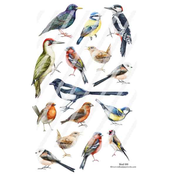 Bird 100 Collage Sheet