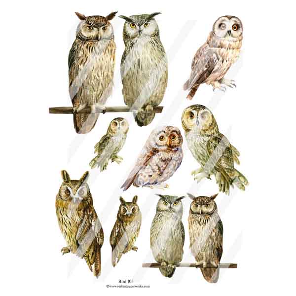 Bird 103 Owls Collage Sheet