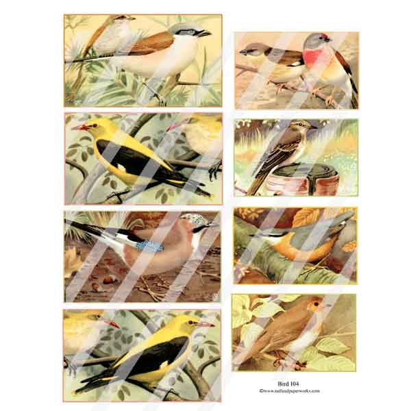 Bird 104 Collage Sheet