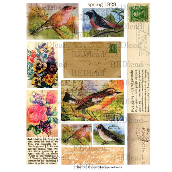 Bird Collage Sheet 38