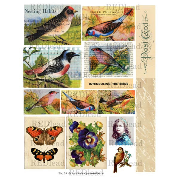 Bird Collage Sheet 39