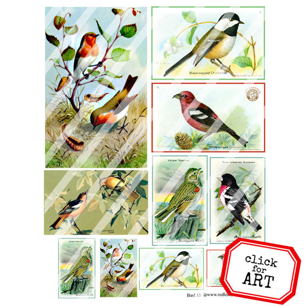 Bird Collage Sheet 53