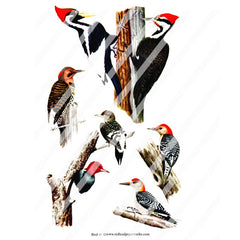 Bird Collage Sheet 61