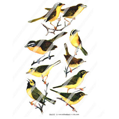 Bird Collage Sheet 63