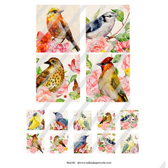 Bird 80 Collage Sheet