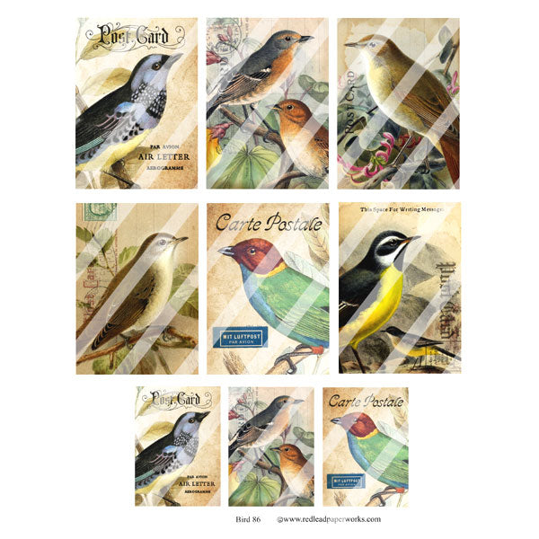 Bird 86 Collage Sheet