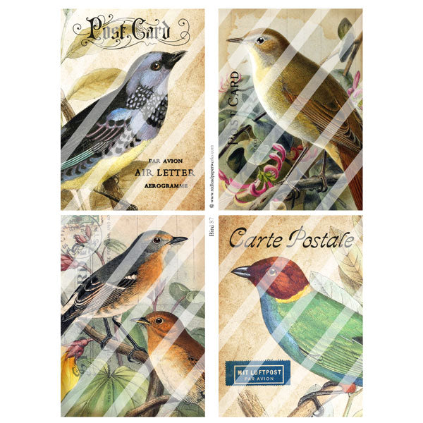 Bird 87 Collage Sheet