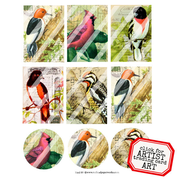 Bird 89 Artist Trading Card Collage Sheet