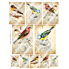Bird 93 Collage Sheet