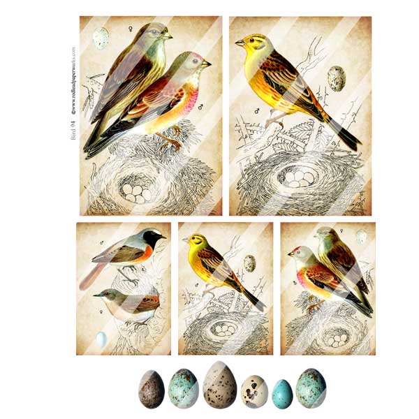 Bird 94 Collage Sheet