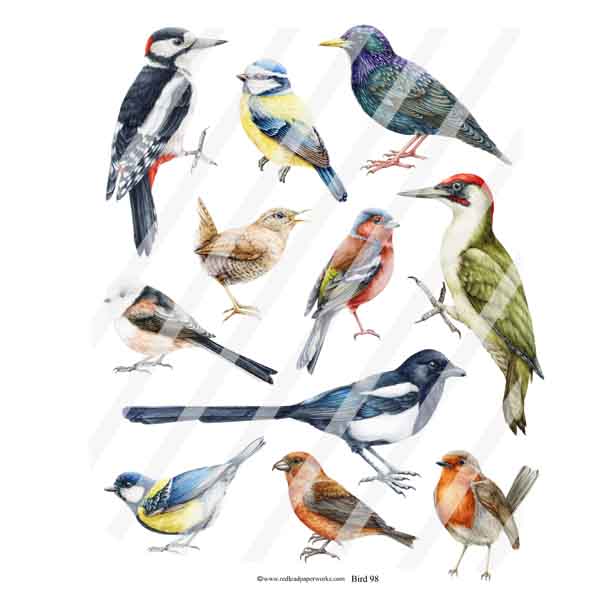 Bird 98 Collage Sheet