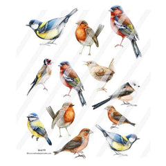 Bird 99 Collage Sheet