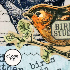 Phoebe Bird Rubber Stamp
