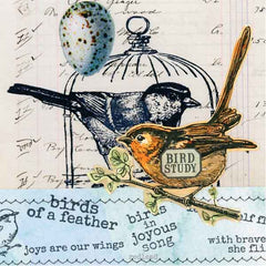Phoebe Bird Rubber Stamp