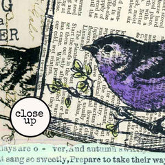 Phoebe Bird Rubber Stamp