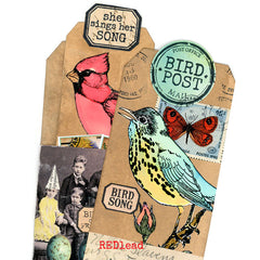 Garden Bird Rubber Stamp
