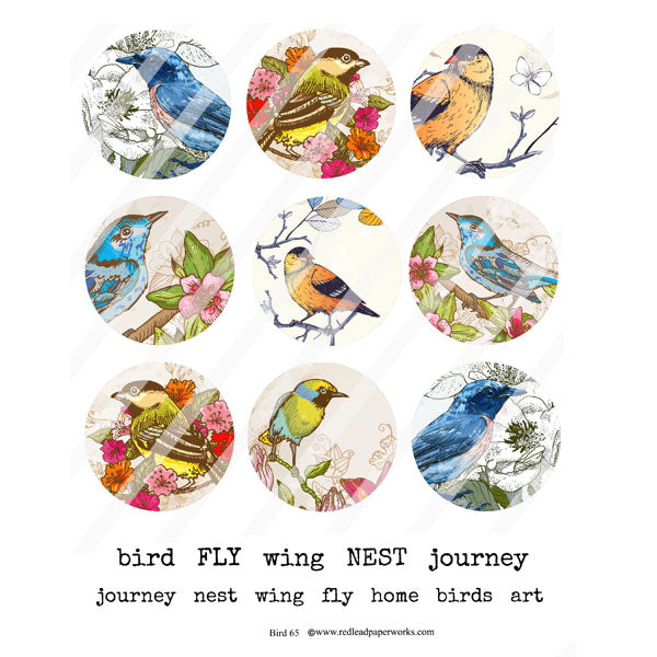 Bird Artist Trading Coins  Collage Sheet 65