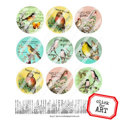 Bird Artist Trading Coins Collage Sheet