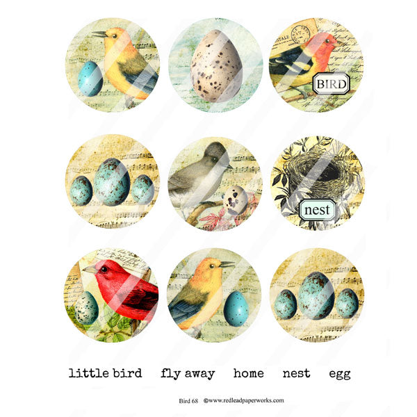 Bird Artist Trading Coins Collage Sheet 68