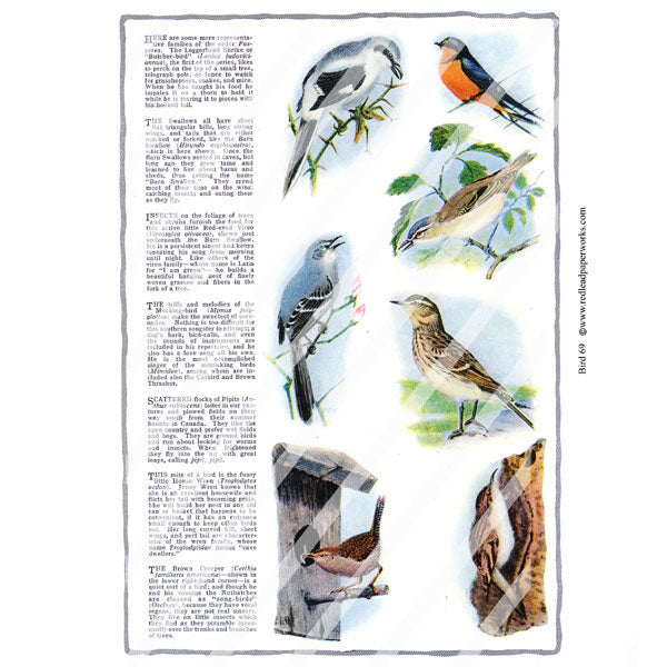 Bird 69 Collage Sheet