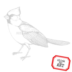 Cardinal Bird Rubber Stamp Save 25%