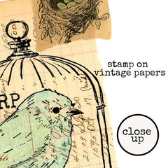 Large Bird Cage Rubber Stamp