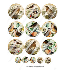 Bird Artist Trading Coins Collage Sheets