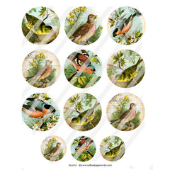 Bird Artist Trading Coins Collage Sheets