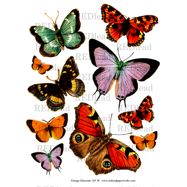 Vintage Elements 144 Collage Sheet  - Butterflies