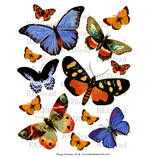 Collage Sheet Vintage Elements 145 Butterflies