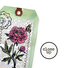 Peony and Fritillia Flower Rubber Stamps