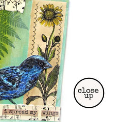 Bird Rubber Stamps