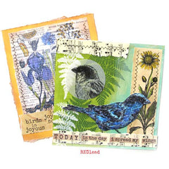 Bird Rubber Stamps