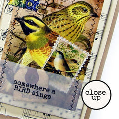 Bird 90 Collage Sheet