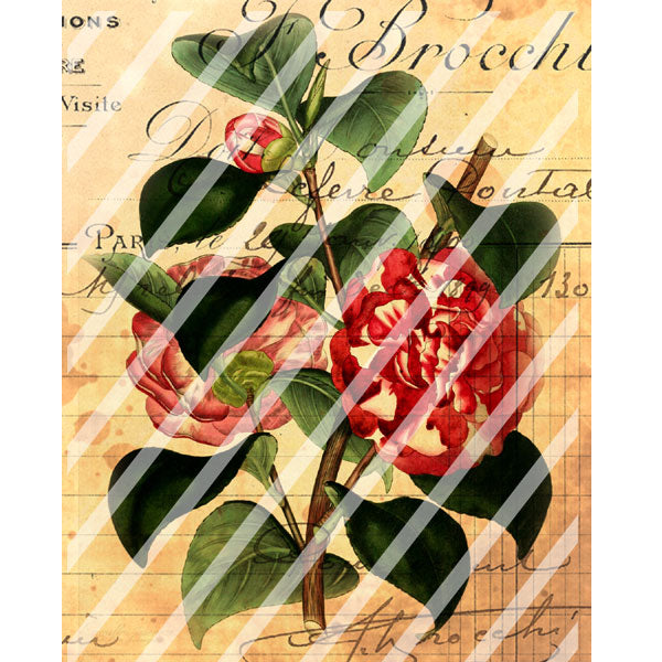 Antique Style Gardens of France Paper Print