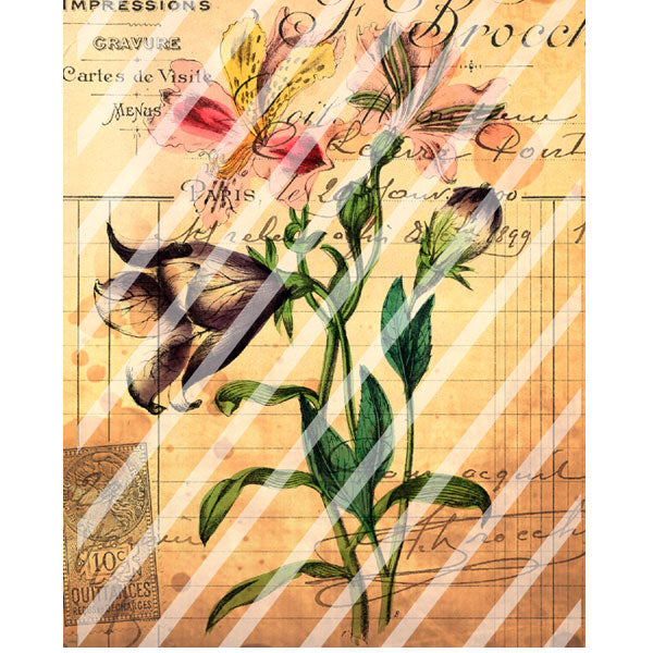 Antique Style Gardens of Portugal Paper Print