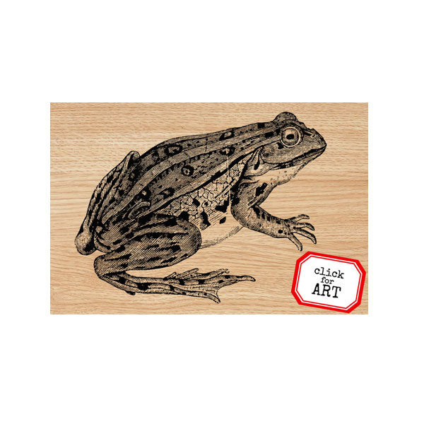 Freddy Frog Wood Mount Rubber Stamp