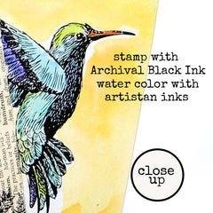 Hummingbirds Rubber Stamps