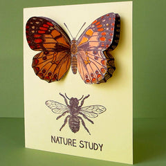 handmade Butterfly card