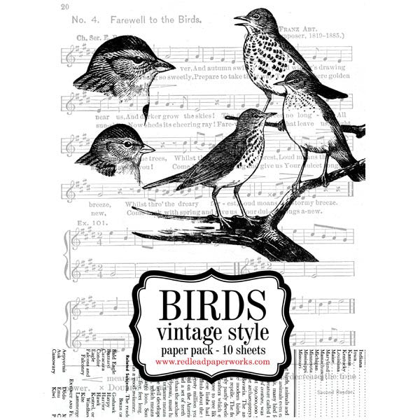 Bird Paper Pack Vintage Style Coloring Pages