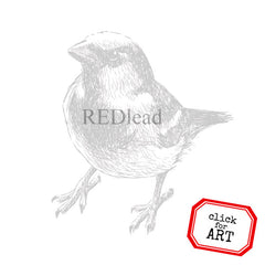 Belinda Bird Rubber Stamp