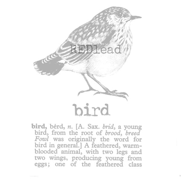 Bird Defined Rubber Stamp