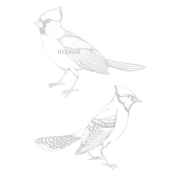 Bird Rubber Stamps Cardinal & Blue Jay