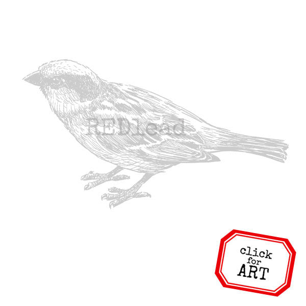 Forest Bird Rubber Stamp Save 40%